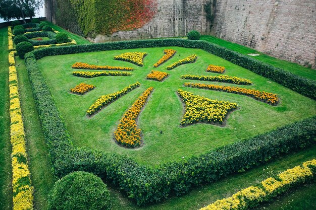 BARCELLONA SPAGNA 15 OTTOBRE 2018 Bellissimi fiori guardano al Castello di Barcellona Montjuic Concetto di viaggio turistico Incredibile architettura spagnola