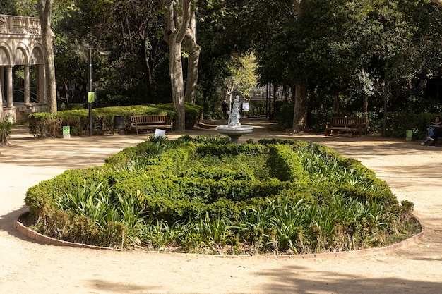 BARCELONASPAGNAaprile 72023 Giardini pubblici Giardini de la Tamarita Fiore primaverile