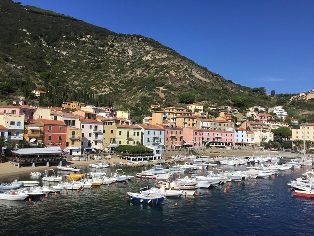 Barche a vela ormeggiate nel porto da edifici contro un cielo limpido