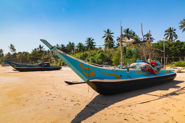 Barche da pesca tradizionali su una spiaggia sabbiosa Sri Lanka
