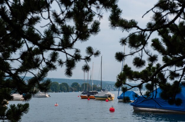 Barche e boe sul lago di Zurigo, Svizzera