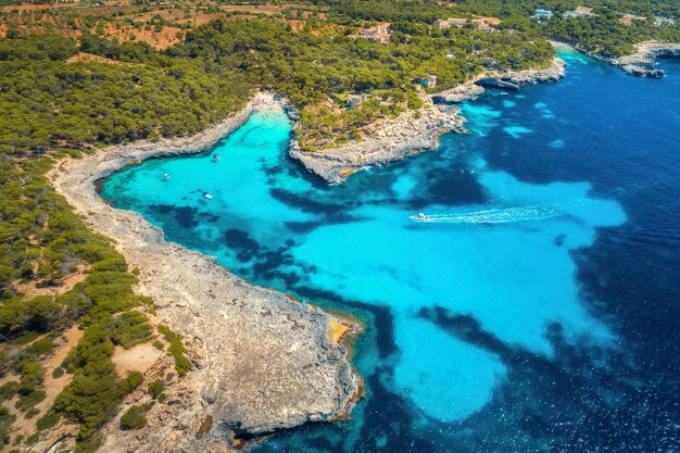 Barche e yacht di lusso in mare trasparente in giornata di sole a Maiorca Spagna in estate Vista aerea della costa del mare Paesaggio colorato con alberi verde acqua marina baia azzurra Vista dall'alto della riva Viaggio