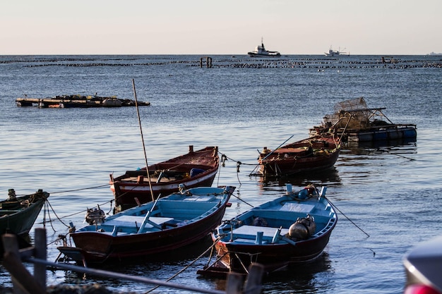 Barche in mare