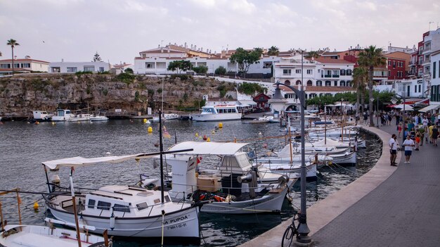 Barche nel porto con case sulla collina dietro di loro.