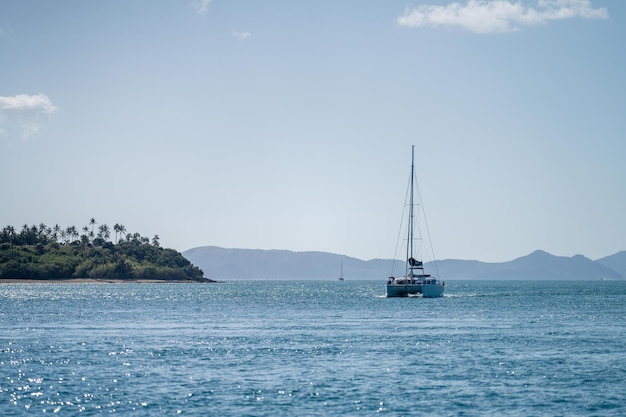 Barche turistiche e barche da tour nelle Whitsundays Queensland Australia viaggiatori sulla grande barriera corallina su coralli e pesci turismo yacht di giovani che festeggiano sull'acqua