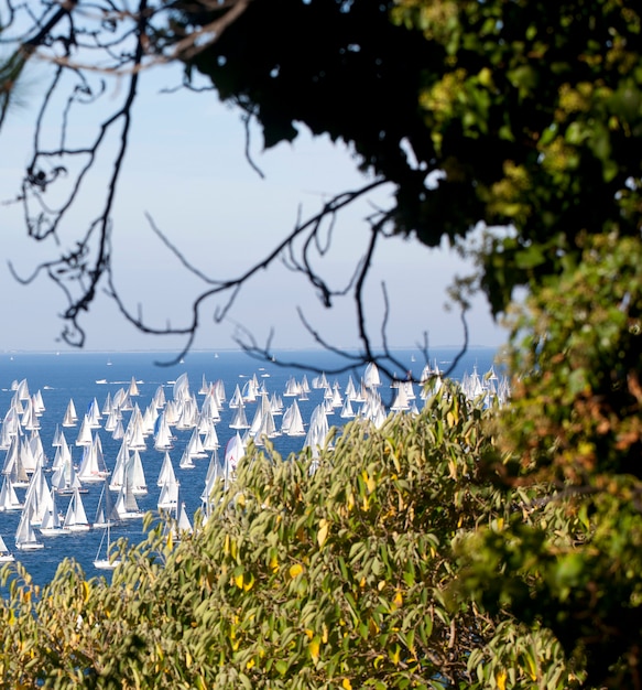 Barcolana 2010, La regata di Trieste