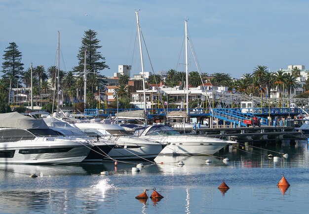 Barcos del porto