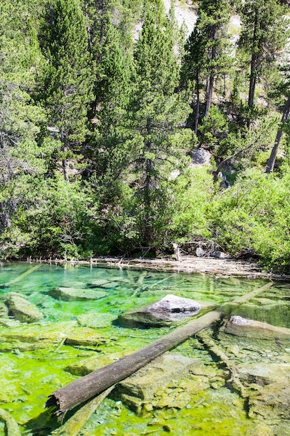Bardonecchia, Italia. Il Lago Verde, lago alpino dal colore fluo dovuto ad un'alga locale