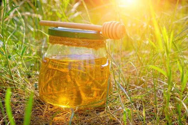 Barile di miele e cucchiaio per miele in erba verde d'estate