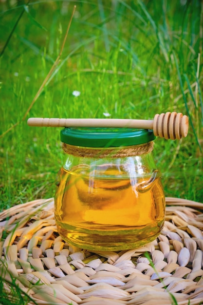 Barile di miele e cucchiaio per miele nell'erba verde estiva