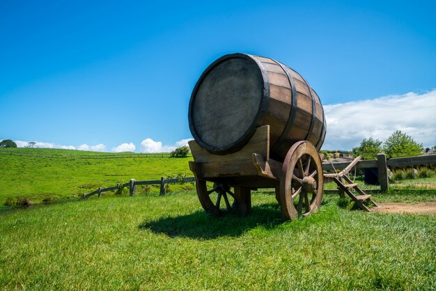 Barilotto di vino nel campo di erba verde