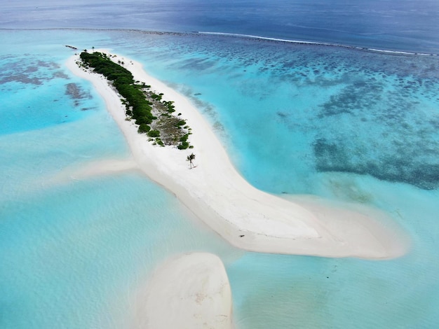 Barriera corallina di viaggio paradisiaca vicino alle isole Maldive