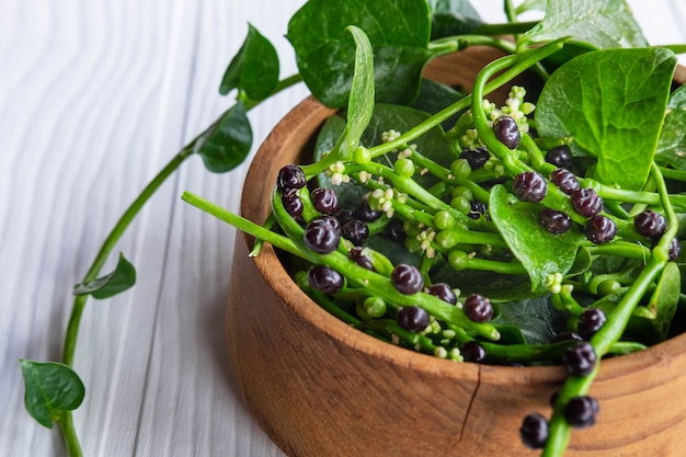 Basella alba foglie vegetali per la salute.