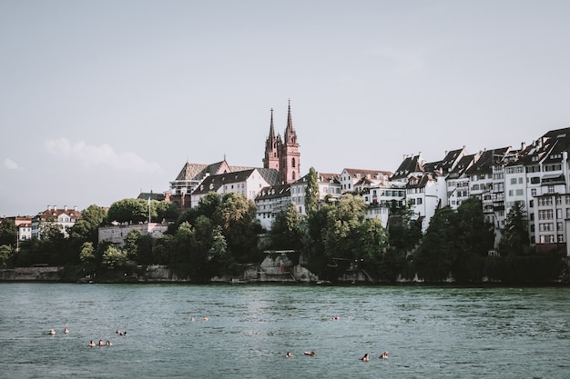 Basilea, Svizzera - 23 giugno 2017: Vista sulla città di Basilea e sul fiume Reno, Svizzera, Europa. Le persone nuotano nell'acqua. Paesaggio estivo, tempo soleggiato, cielo azzurro e giornata di sole