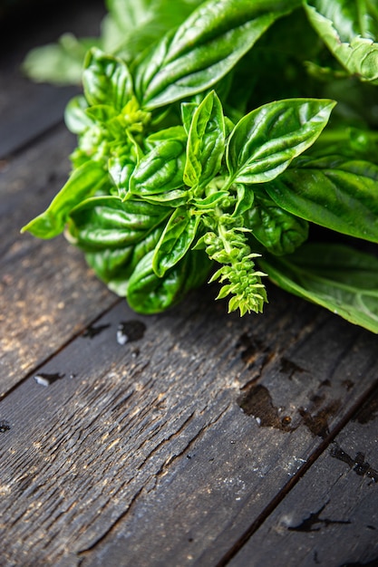 basilico fresco succoso petali verdi condimento aromatico crudo porzione fresca pronta da mangiare spuntino pasto