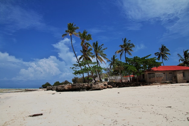 Bassa marea su Zanzibar, Oceano Indiano