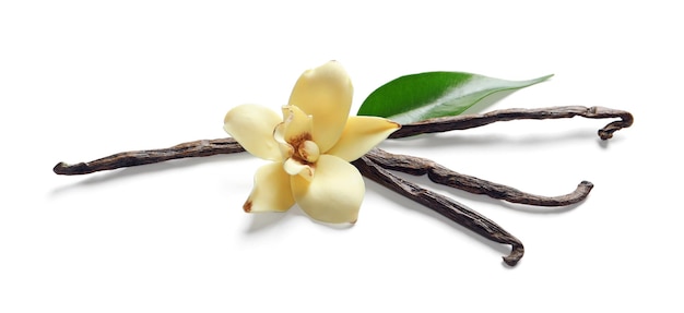 Bastoncini di vaniglia e fiore su sfondo bianco