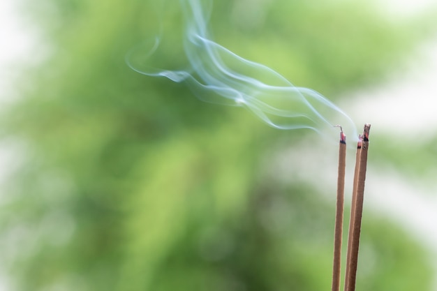 Bastoncino di incenso e fumo dalla combustione dell'incenso. Fumo bellissimo