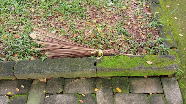 bastone di scopa sull'erba verde