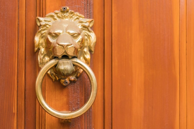 Batacchio dorato a forma di leone con anello su una porta di legno