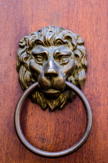 Battente per porta in ottone antico a forma di testa di leone., Elemento porta con leone in metallo