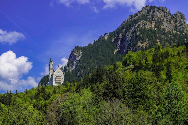 Baviera GermaniaAprile 28 2018 I dettagli del castello di Neuschwanstein in Germania