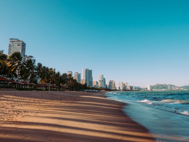 Bayside con palme e grattacieli. Spiaggia nel tramonto vicino oceano