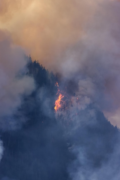 BC Forest Fire e Smoke sopra la montagna vicino a Hope