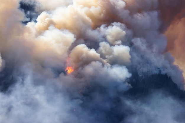 BC Forest Fire e Smoke sopra la montagna vicino a Hope