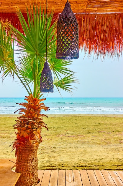 Beach bar con palme in riva al mare