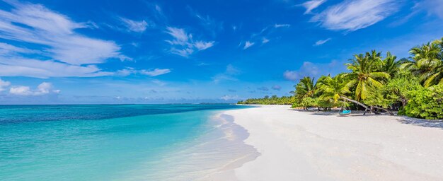 Beach natura concetto Palm beach in tropicale idilliaca isola paradisiaca paesaggio esotico per sogno e ispirazione paesaggio estivo uso per sfondo o carta da parati