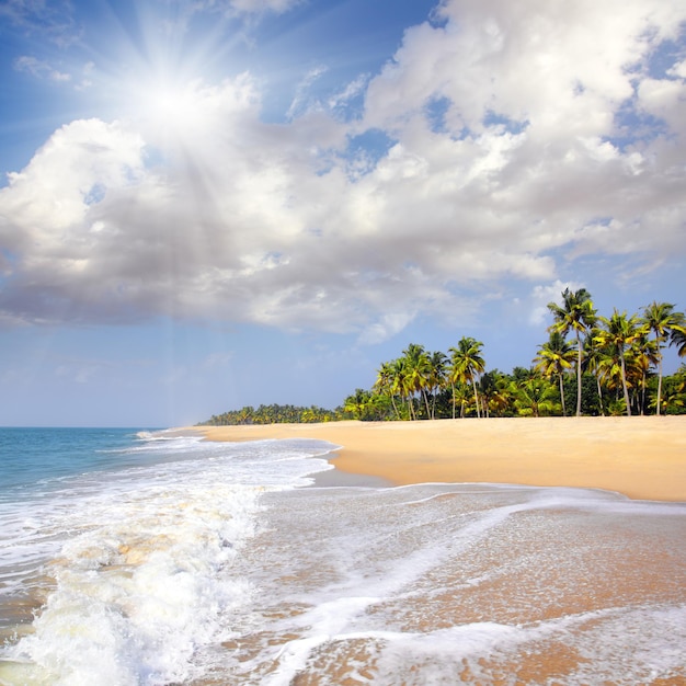 Beach paesaggio