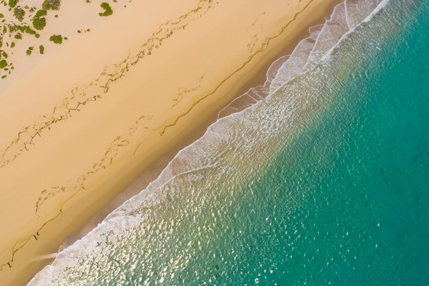 Beatitudine aerea Splendida spiaggia di sabbia bianca dall'alto