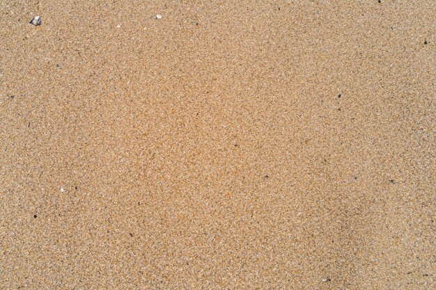 Beatitudine aerea Splendida spiaggia di sabbia bianca dall'alto