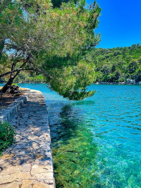 Beaufifull Island Mljet, Parco Nazionale in Croazia, foto verticale