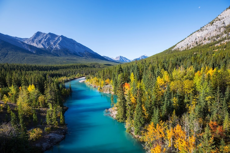 Photo beautiful autumn season in canadian mountains. fall background.