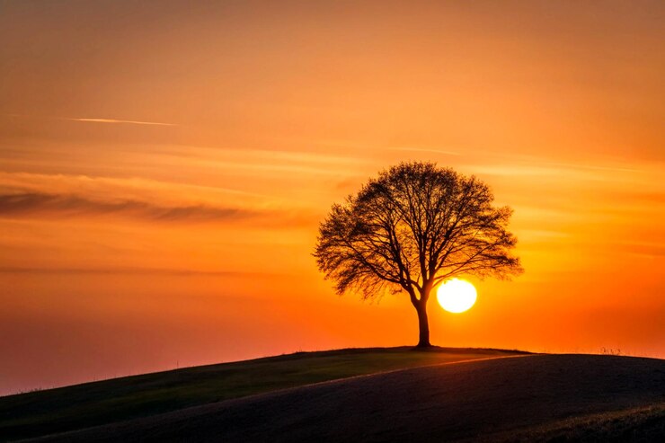 Beautiful vibes and natural sunset Good weather dayNatural background