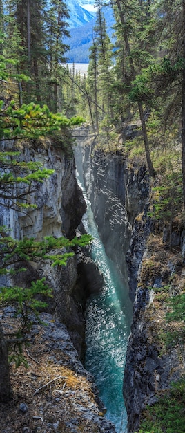 Beauty Creek Icefields Parkway Alberta Canada