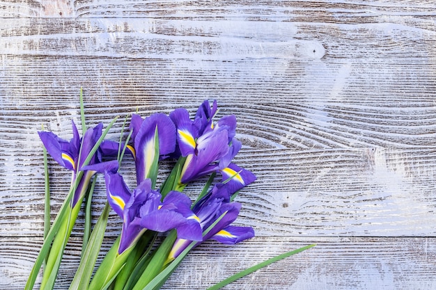 Bei fiori dell'iride su fondo di legno, cartolina di festa