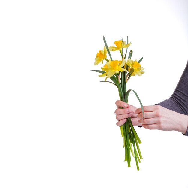 bei fiori gialli narcisi in un vaso su uno sfondo bianco trasparente primo piano