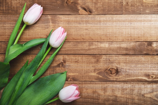 Bei fiori rosa del tulipano sulla tavola di legno