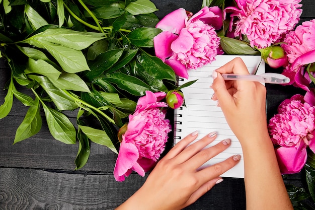 Bei fiori rosa della peonia sul nero.