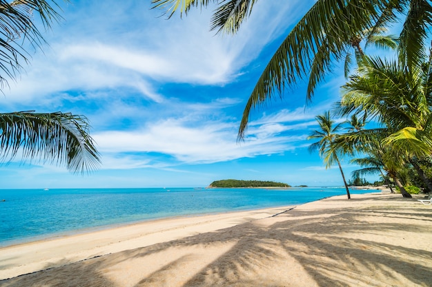 Bei mare e sabbia della spiaggia tropicale con l&#39;albero del cocco su cielo blu e sulla nuvola bianca