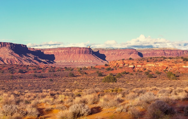 Bei paesaggi del deserto americano