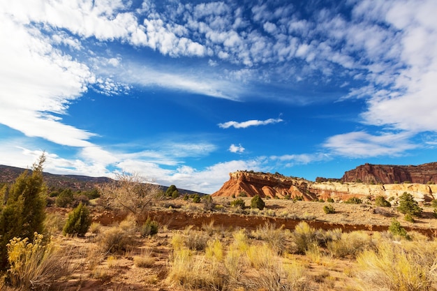 Bei paesaggi del deserto americano