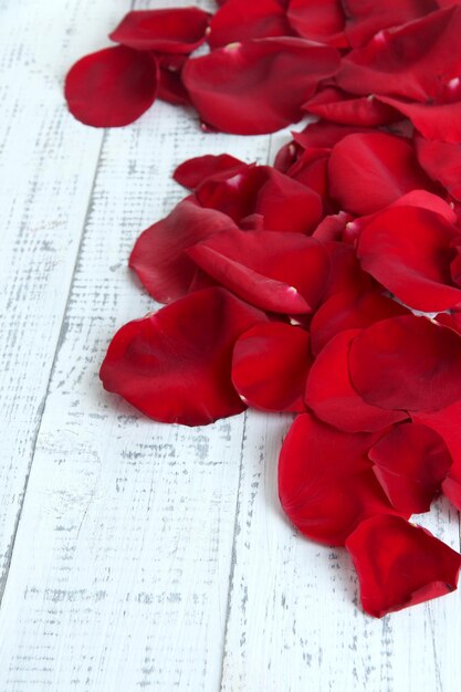 Bei petali di rose rosse sul primo piano della tavola di legno