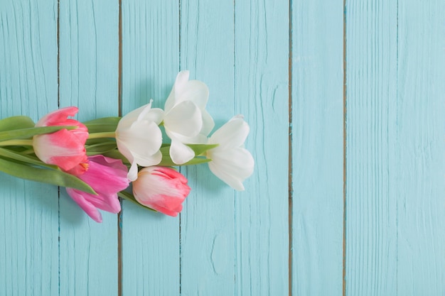 Bei tulipani bianchi e rosa sulla vista superiore del fondo di legno blu