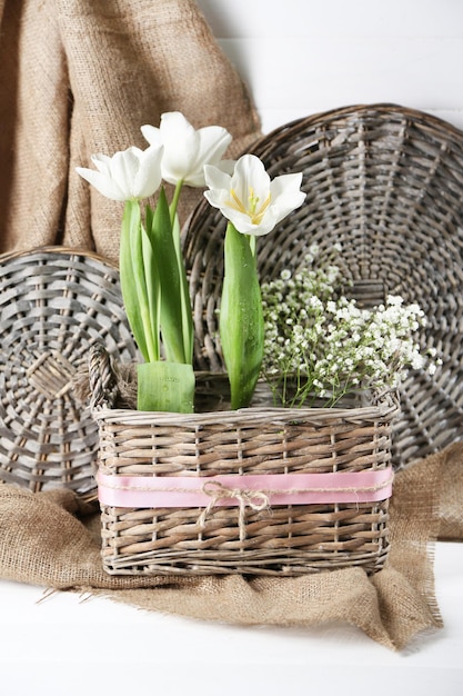 Bei tulipani nel cesto di vimini, su fondo di legno di colore