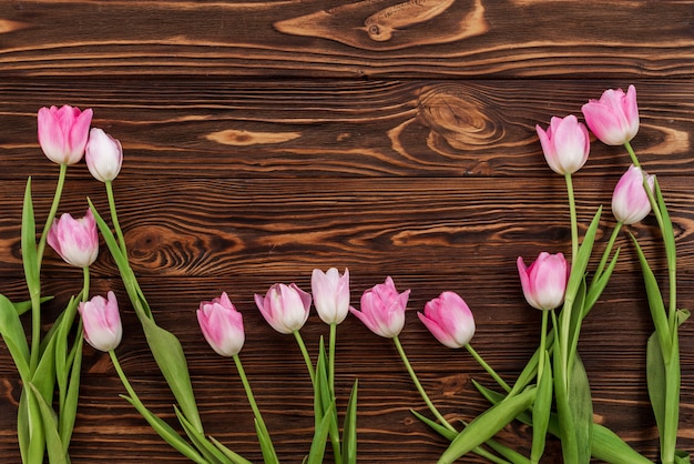 Bei tulipani su fondo di legno bianco