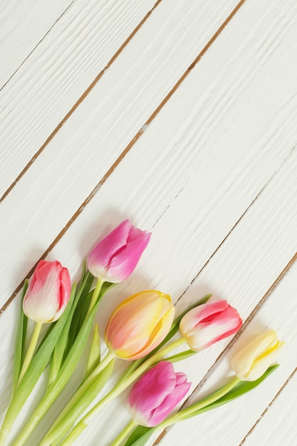 Bei tulipani su legno bianco